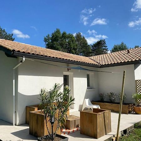 Gite La Lande En Pays Basque Daire Came Dış mekan fotoğraf