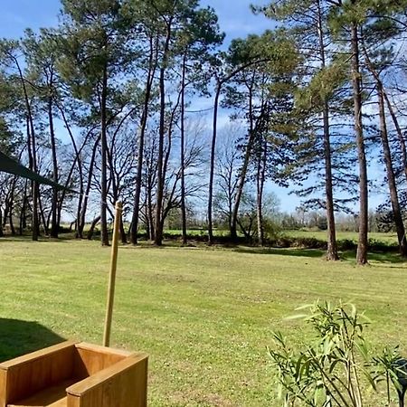 Gite La Lande En Pays Basque Daire Came Dış mekan fotoğraf