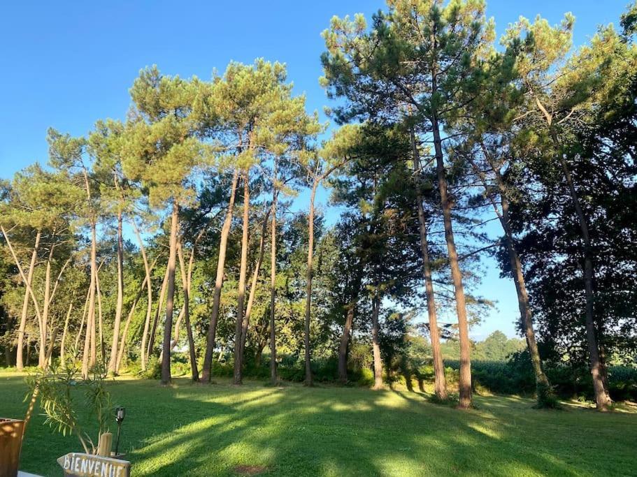 Gite La Lande En Pays Basque Daire Came Dış mekan fotoğraf