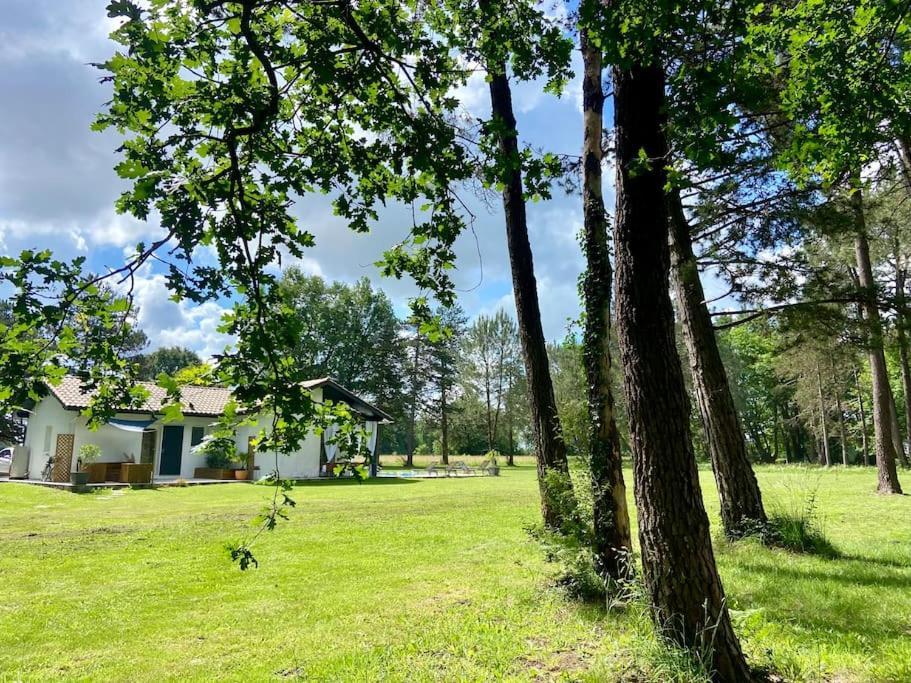 Gite La Lande En Pays Basque Daire Came Dış mekan fotoğraf