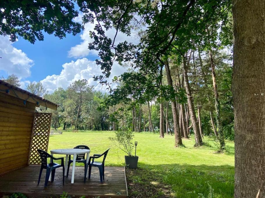 Gite La Lande En Pays Basque Daire Came Dış mekan fotoğraf