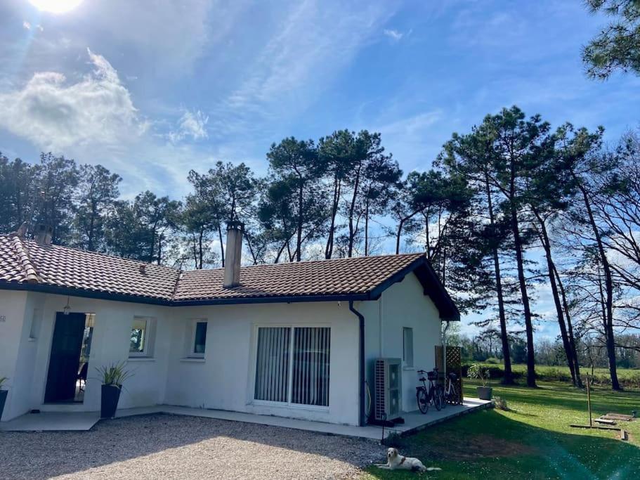 Gite La Lande En Pays Basque Daire Came Dış mekan fotoğraf