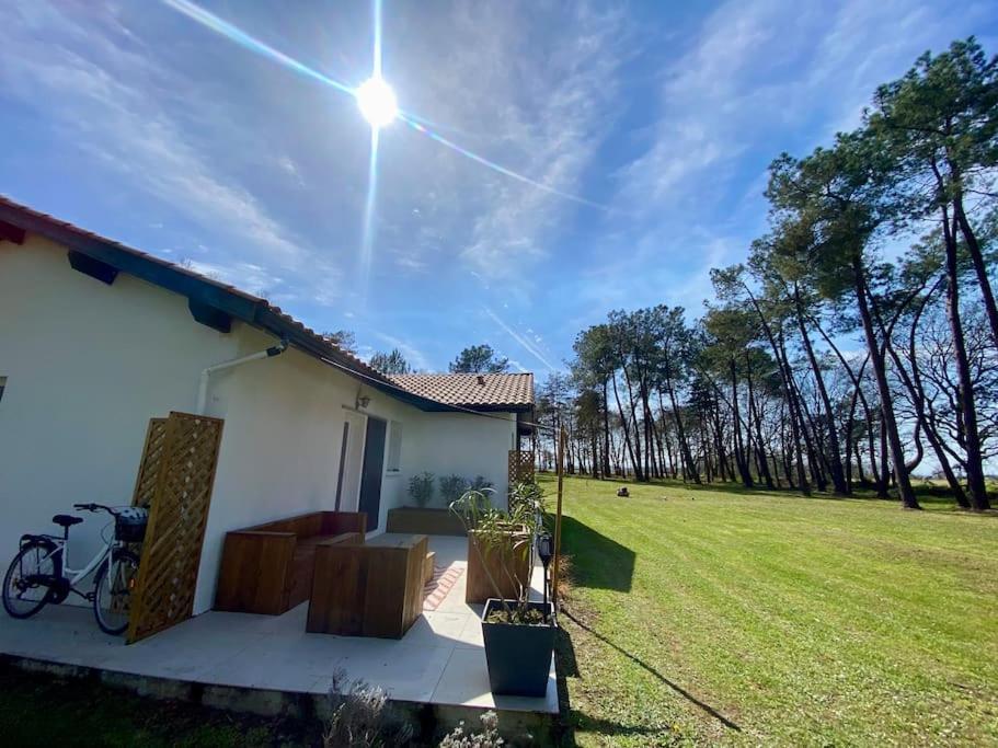 Gite La Lande En Pays Basque Daire Came Dış mekan fotoğraf