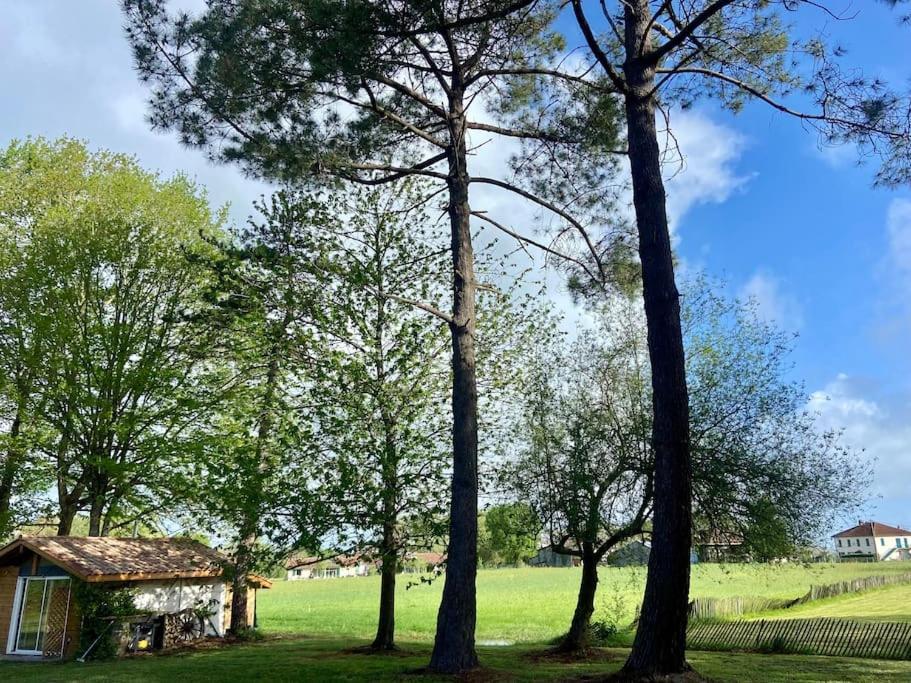 Gite La Lande En Pays Basque Daire Came Dış mekan fotoğraf