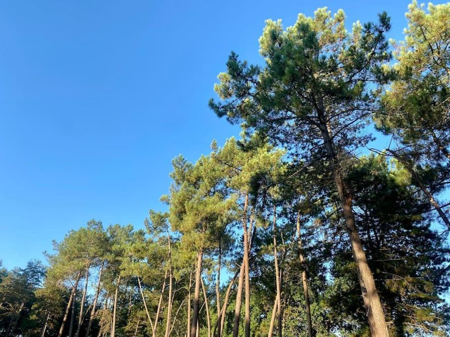 Gite La Lande En Pays Basque Daire Came Dış mekan fotoğraf