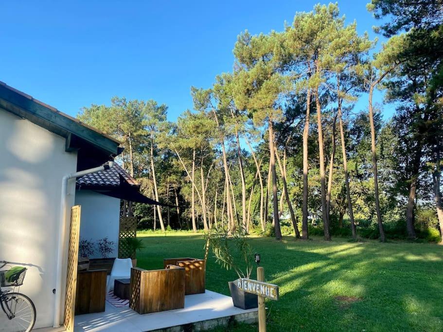 Gite La Lande En Pays Basque Daire Came Dış mekan fotoğraf